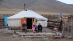 Mongolian gir