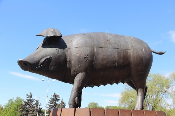 Pig sculpture in Tartu, Estonia