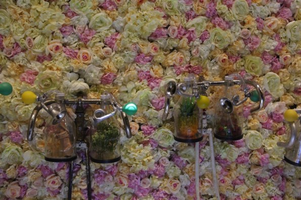 Flower wall, d'Arenberg winery