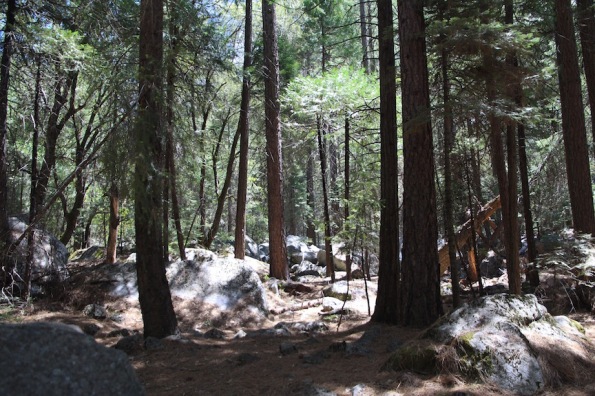 Southern trail to Mirror Lake, Yosemite
