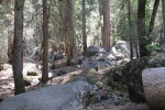 Southern trail to Mirror Lake,&nbsp;Yosemite