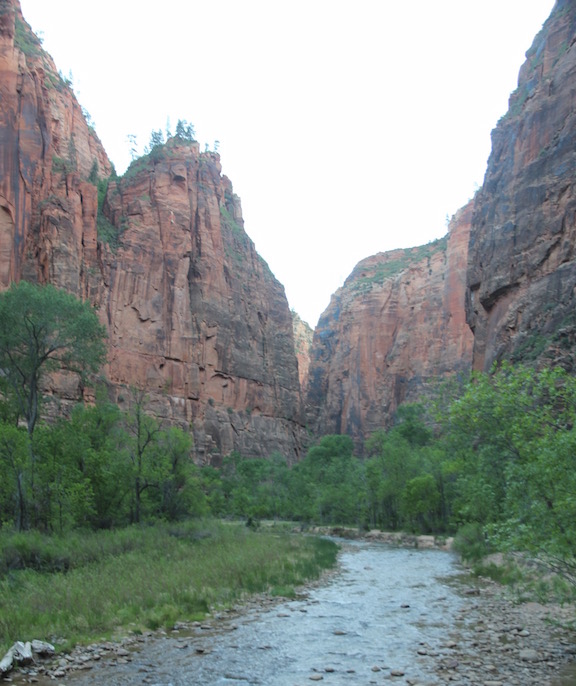 Virgin River, Zion National Park