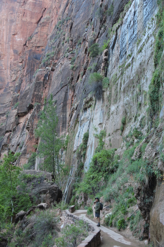 Riverside Walk, Zion National Park