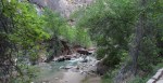 Virgin River, Zion National&nbsp;Park