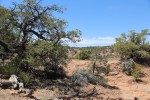 Views in Betatakin, Navajo National&nbsp;Monument