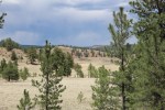 landscape at Florissant Fossil&nbsp;Beds