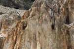 petrified stump at Florissant Fossil&nbsp;Beds