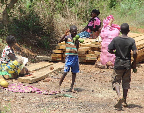 Selling fruit, Guinea, West Africa