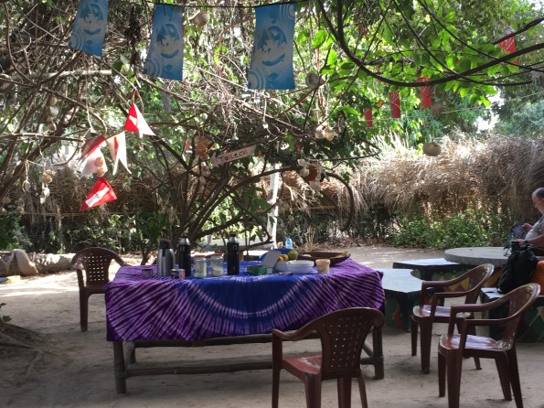 The Little Boabab garden