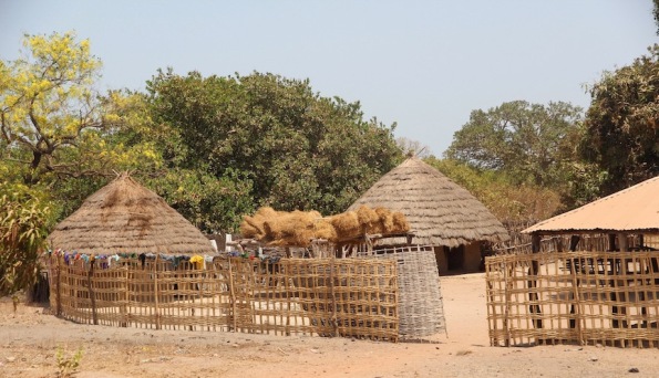 Roofing materials and huts, Africa
