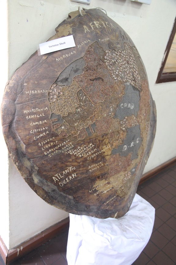 Map of Africa on tortoise shell
