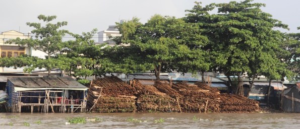 Cai Rang Market, Mekong Delta, Vietnam