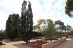AridSmart Display Garden, Port August, South&nbsp;Australia