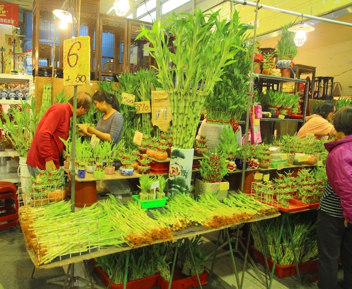 Bamboos and more