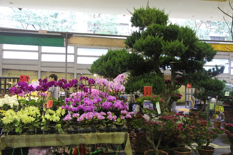 Flower market Taipei Taiwan