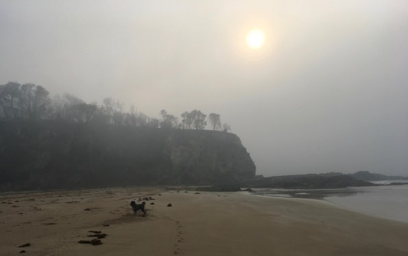 Cooks Crescent, Rosedale NSW