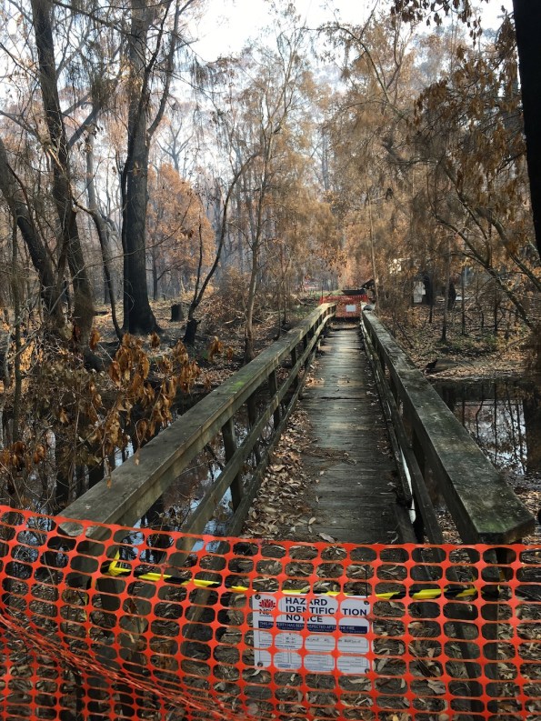 Rosedale footbridge, NSW Australia