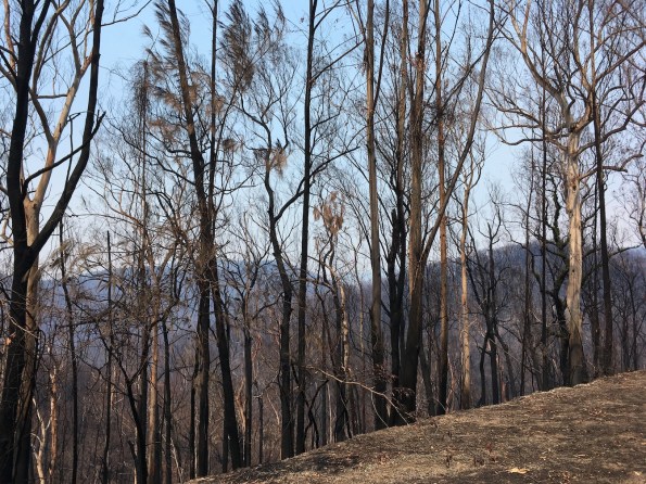 Kings Highway, NSW, Australia