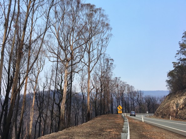 Kings Highway, NSW, Australia