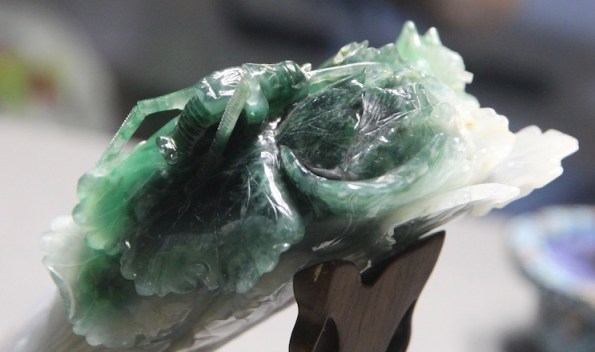 Bugs on jadiete cabbage, Taipei