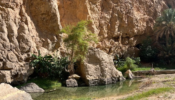 Waid al Shab scenery