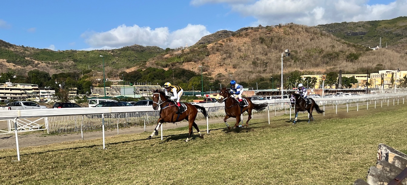 horses racing in Mauritius