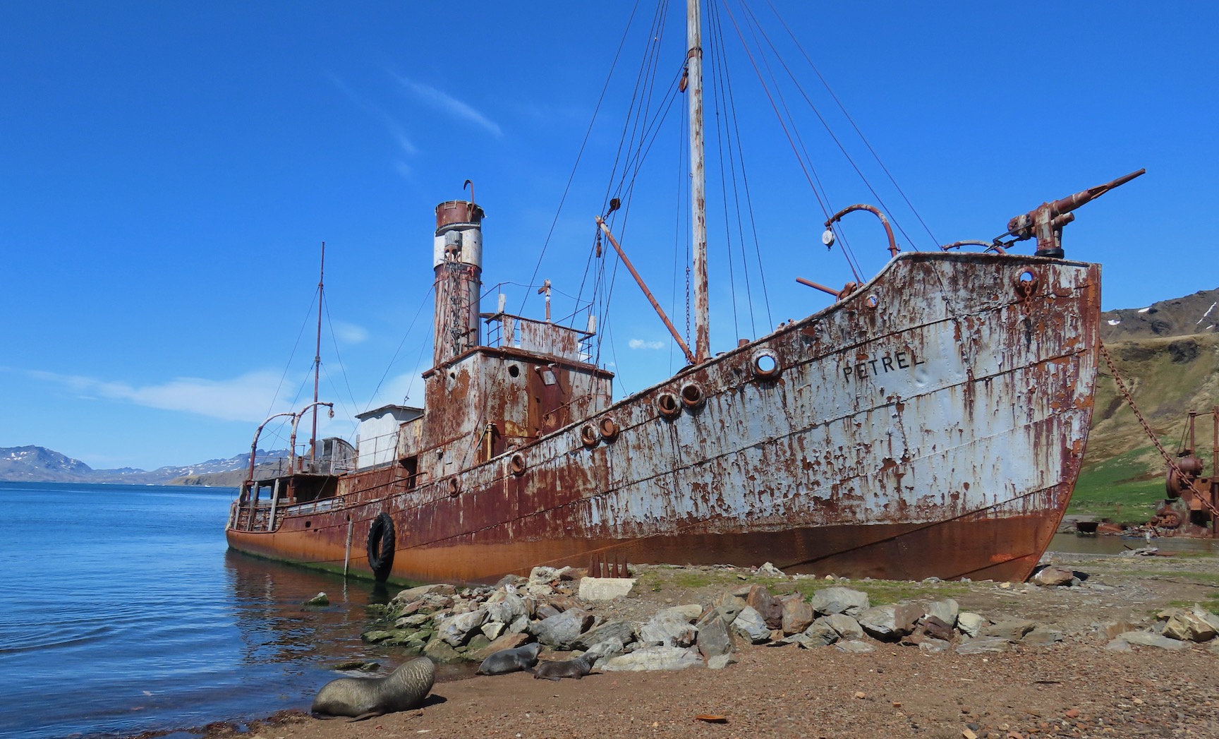 an abandoned ship on South Georgia
