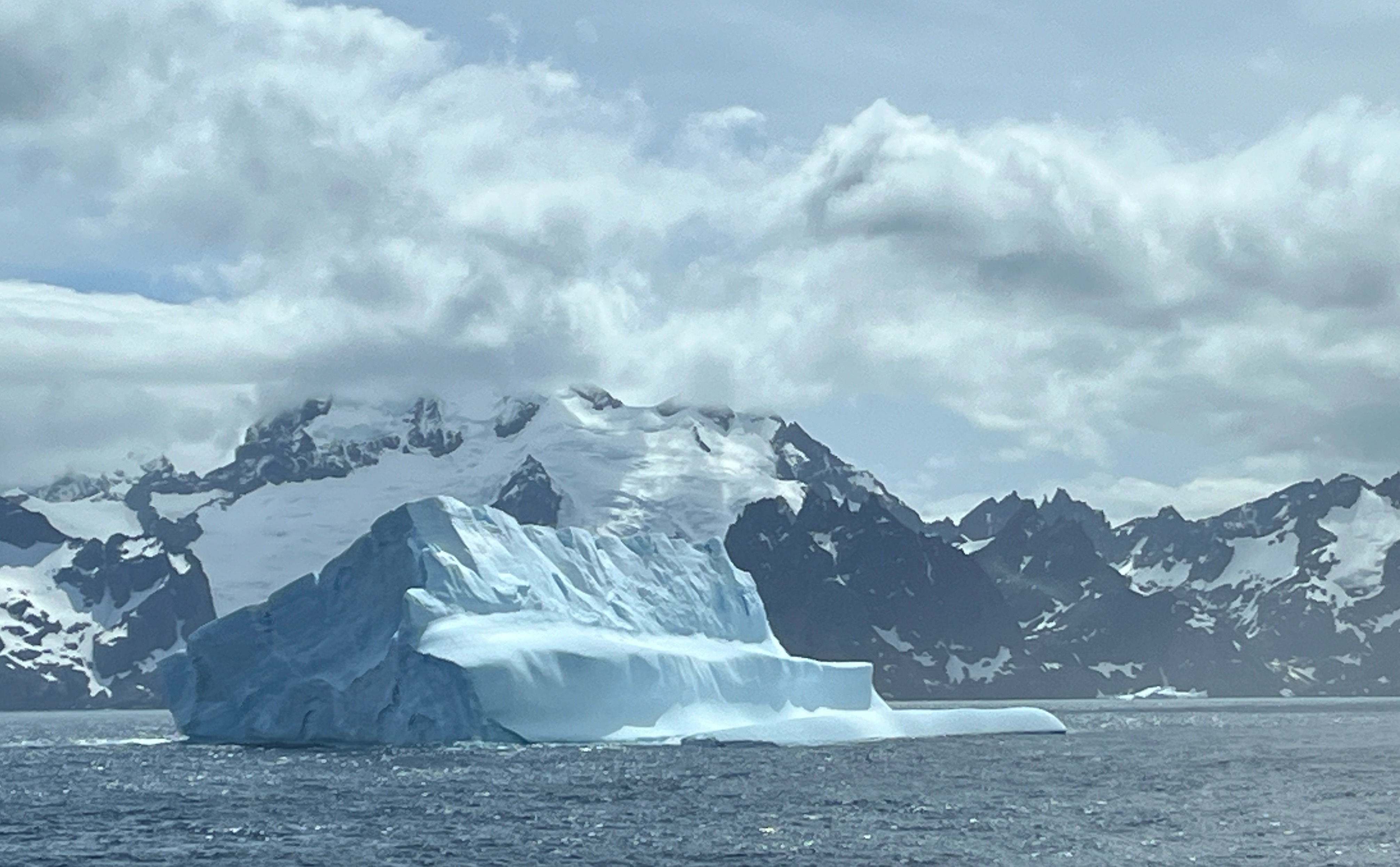 Iceberg in South Atlantic