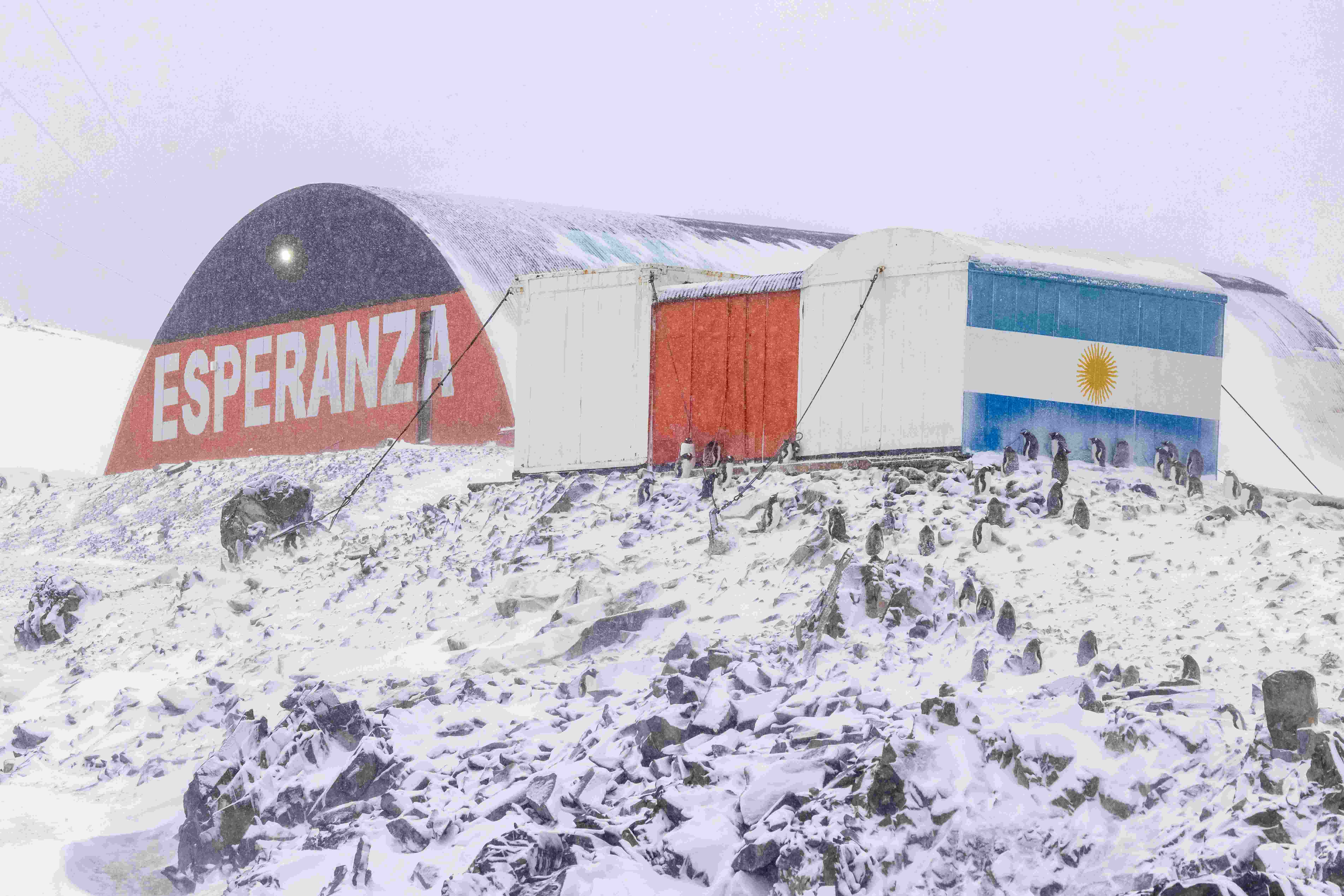 Nissan hut in Esperanza