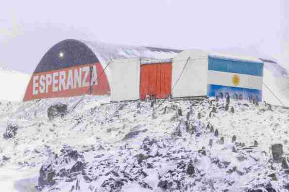 Nissan hut in Esperanza
