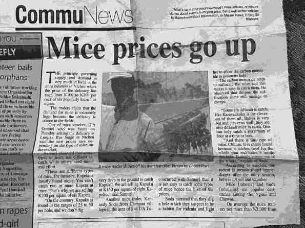 article about mice snacks