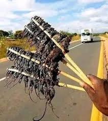 roasted mice on a stick